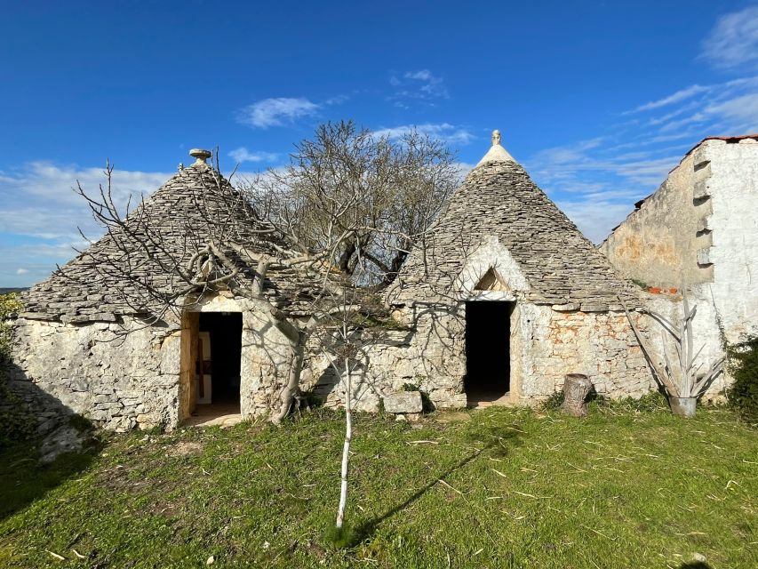 Bari/Gioia Del Colle: Ebike Tour & Toasts in Vineyard - Participant Requirements