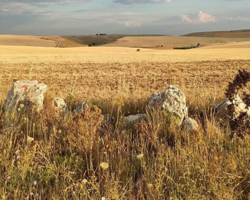 Bari/Gioia Del Colle: Ebike Tour & Toasts in Vineyard - Frequently Asked Questions