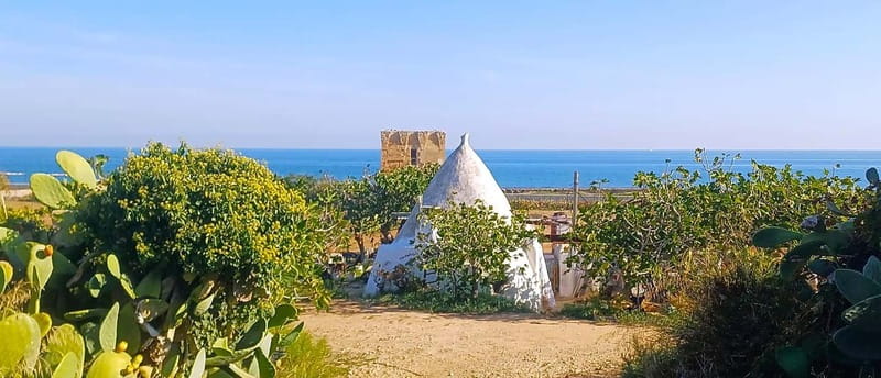 Bari: Tour Polignano Alberobello Matera (Private or Shared) - Key Points