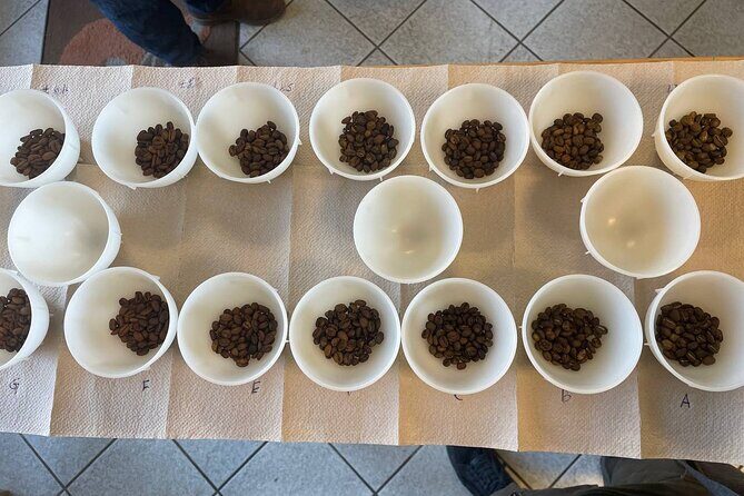 Barista Skills Foundation Course in Ljubljana - The Experience Itself: Detailed Breakdown