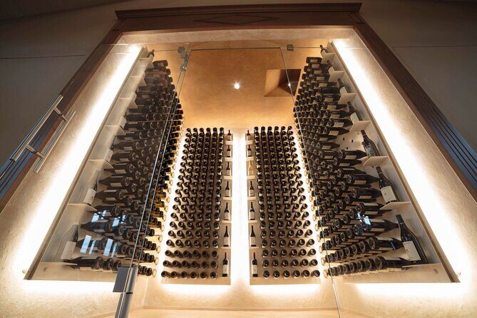 Barolo & CO: visit and tasting - An In-Depth Look at the Tour Experience