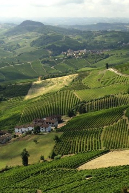 Barolo: Guided Scenic E-Bike Tour With Wine Tasting - Discovering Barolos Wine-Making History