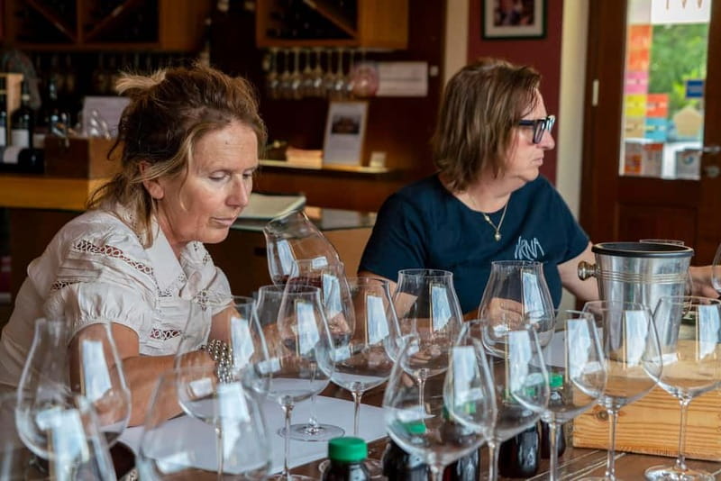 BAROLO: GUIDED VISIT TO THE WINERY AND TASTING WITH THE PRODUCER - Introduction