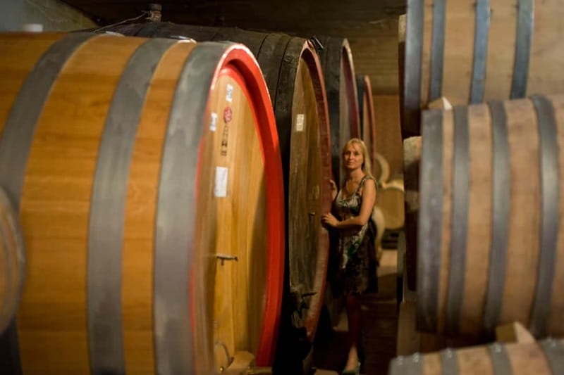 BAROLO: GUIDED VISIT TO THE WINERY AND TASTING WITH THE PRODUCER - What to Expect: The Itinerary in Detail
