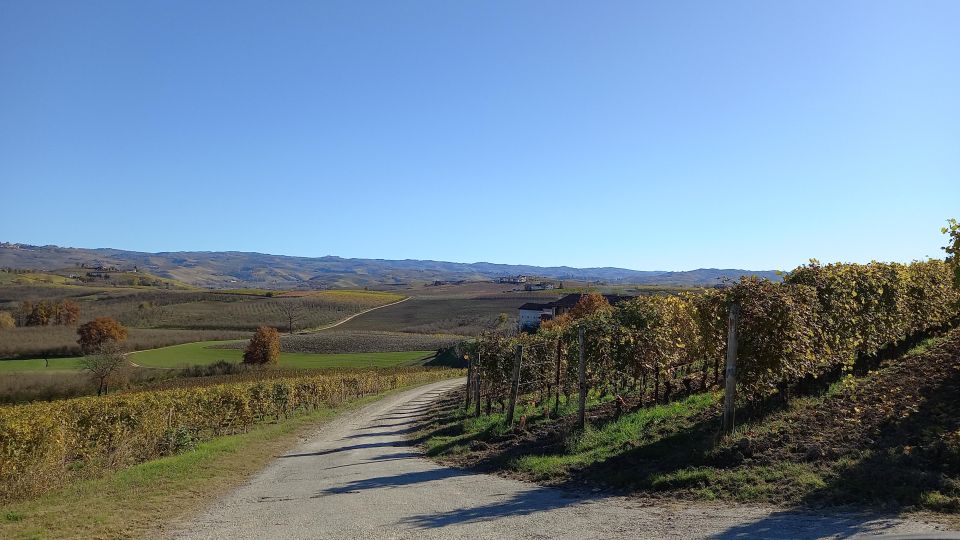 Barolo Langhe Wine Tour - Key Points