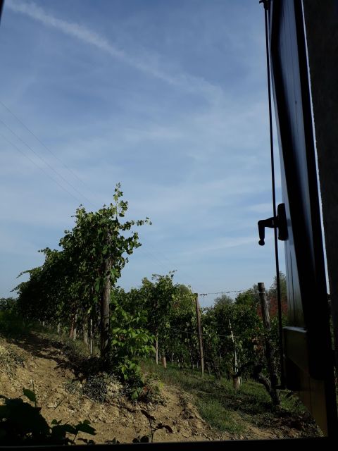 Barolo Langhe Wine Tour - Pickup and Drop-off