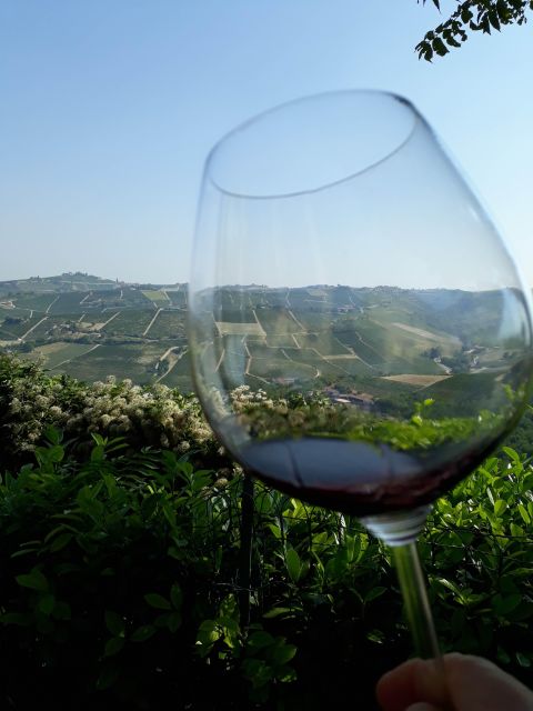Barolo Langhe Wine Tour - Itinerary Highlights