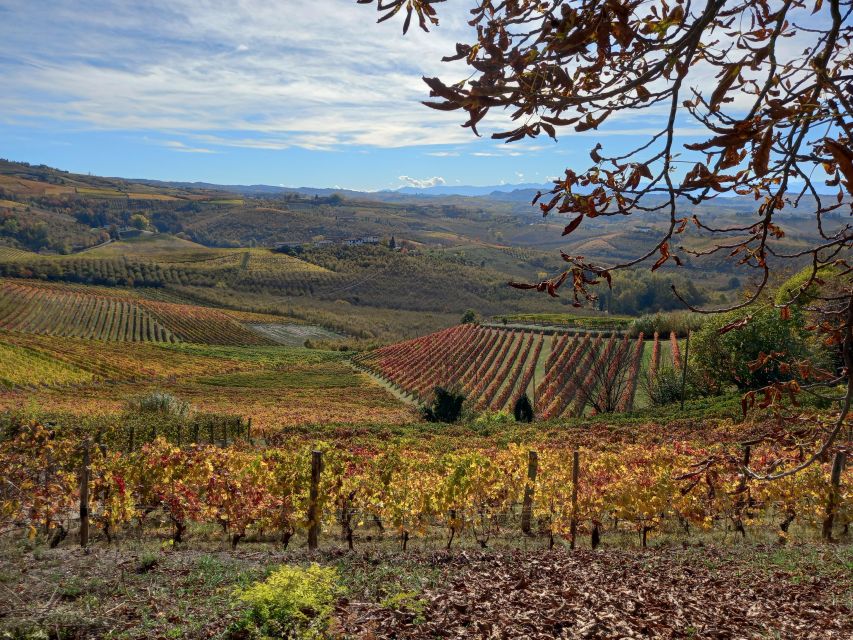 Barolo Langhe Wine Tour - Cancellation Policy