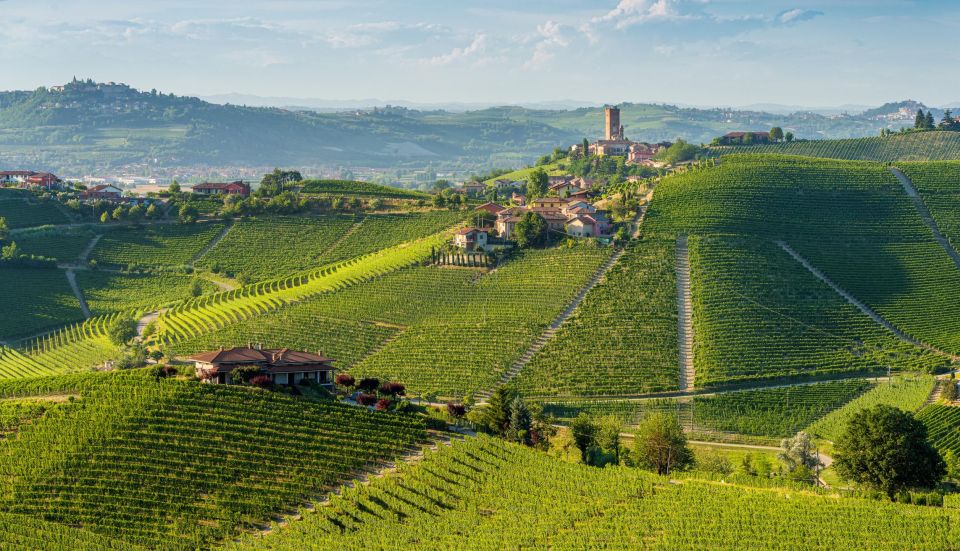 Barolo Winery Private Visit With Gourmet Lunch - Savoring Barolo Crus