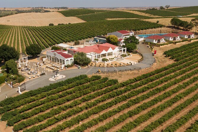 Barossa 4 Hours Wine Experience and Vineyard Walk with Lunch - Key Points