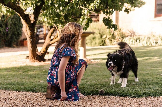 Barossa Private Wine Tour - Final Thoughts