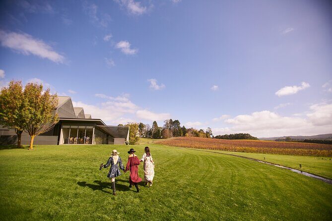 Barossa Small Group Wine Tours with Wine Tasting and Lunch - Reviews in Context: Authentic Experiences