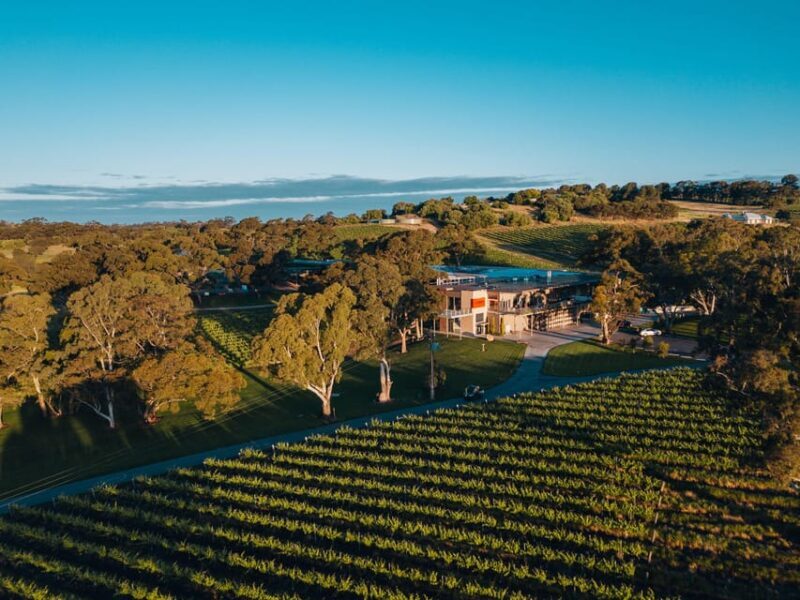 Barossa Valley: Canape and Wine Pairing at Lambert Estate - The Value of the Experience