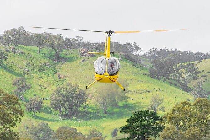 Barossa Valley Deluxe: 30-Minute Helicopter Flight - An Overview of the Helicopter Experience