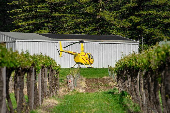 Barossa Valley Deluxe: 30-Minute Helicopter Flight - Who Will Love This Experience?