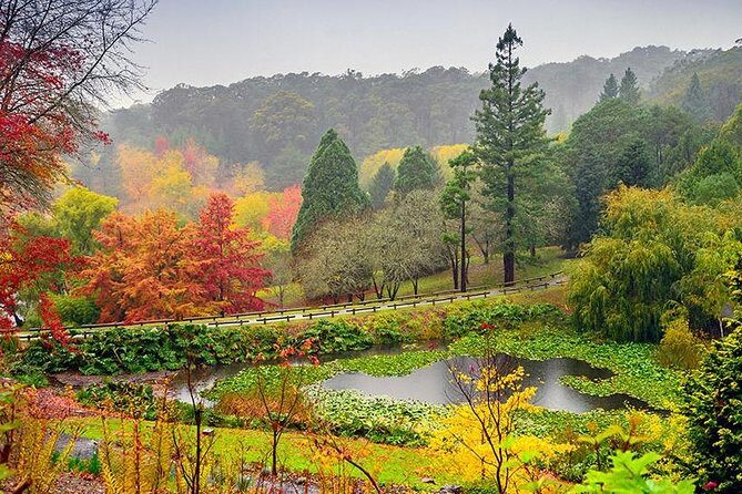 Barossa Valley Deluxe: 30-Minute Helicopter Flight - Practical Details & Tips