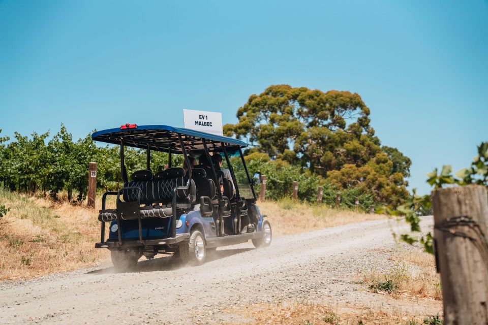Barossa Valley: Lambert Estate Vineyard E-Cart Tour - Highlights