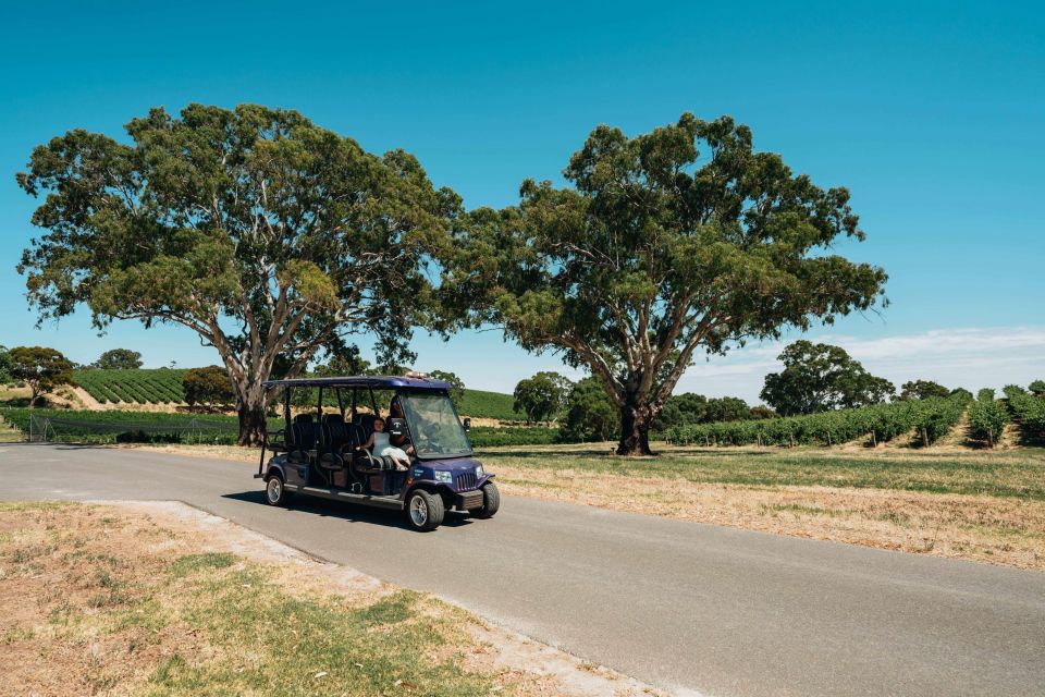 Barossa Valley: Lambert Estate Vineyard E-Cart Tour - Inclusions