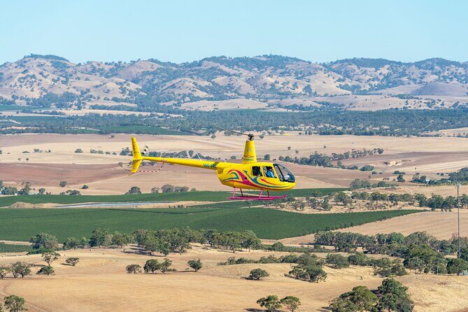 Barossa Valley Scenic Helicopter Flight & Private Wine Tour - Who Should Consider This Tour?