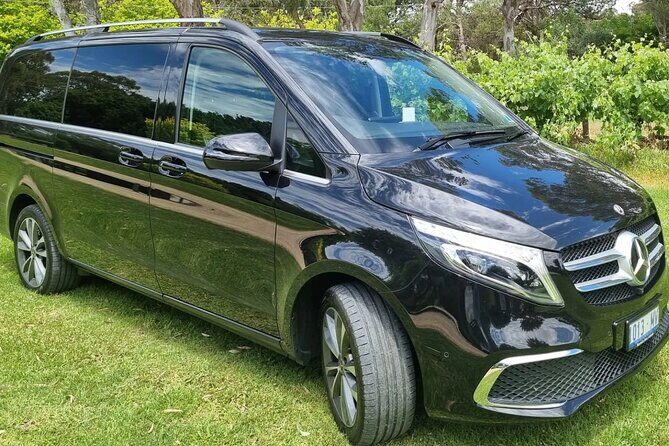 Barossa Valley Shared Tour with Wine Tasting and Lunch - In-Depth Look at the Tour Experience