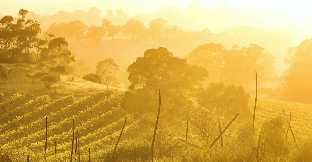 Barossa Valley: Two Hands Flagship Vineyard Experience - Key Points