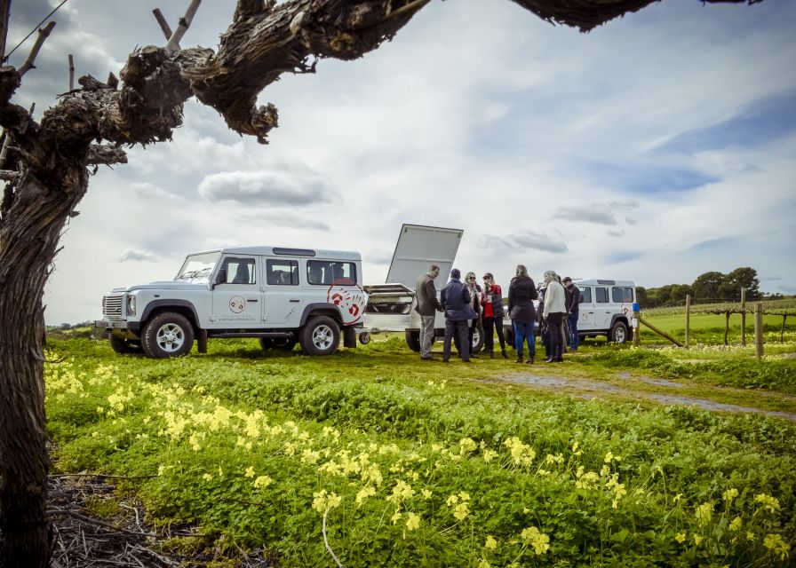 Barossa Valley: Two Hands Flagship Vineyard Experience - Tour Itinerary