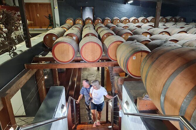 Barossa Valley Wine Tour Local Barossa Valley Pickup and Lunch - The Sum Up