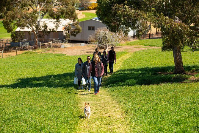 Barossa Wine Tasting shared tours - FAQ