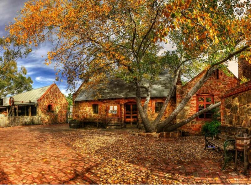 Barossa Wine Tour: Small Group 8 max, Rare, Unique, Premium - The Experience of the Guide