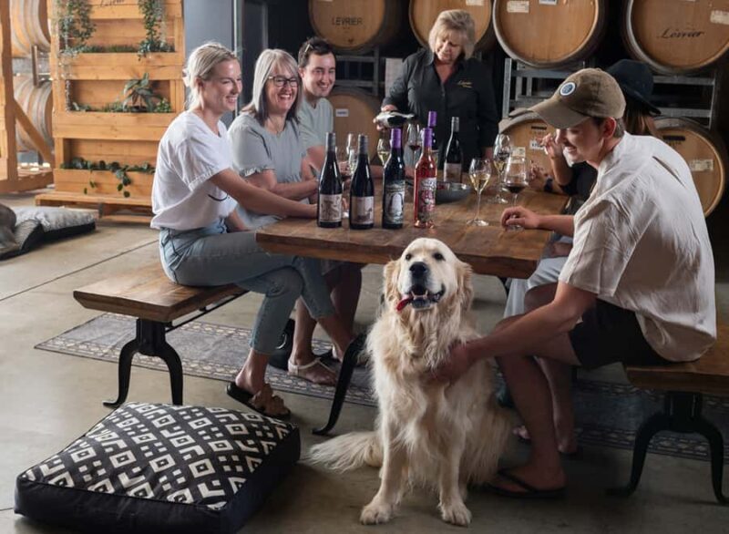 Barossa Wine Tour: Small Group 8 max, Rare, Unique, Premium - The Reviews Speak Volumes