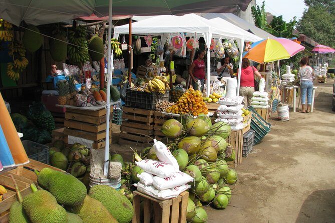 barra de navidad and plantations - What’s Included and What’s Not