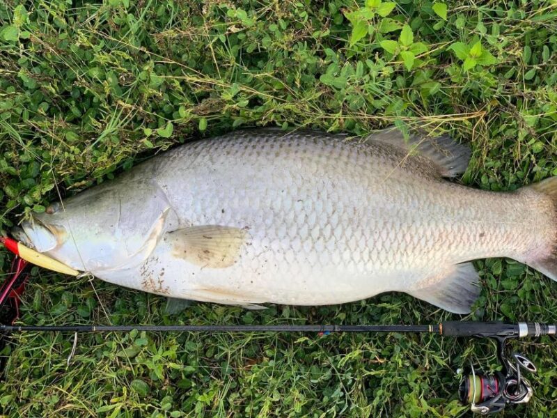 Barramundi Adventure Fishing Tours - Booking Process