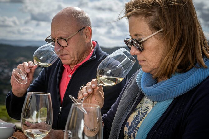 Barrel Tasting - Quinta De Santa Cristina Vinho Verde - Accessibility and Capacity