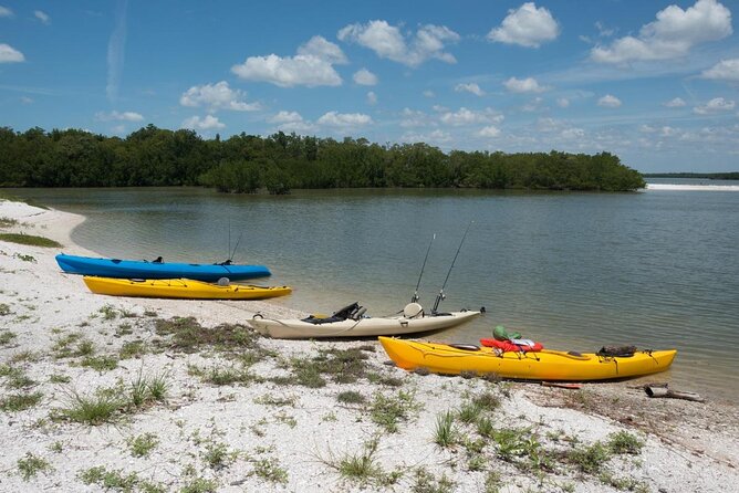 Barrier Island Shelling Tour - Good To Know