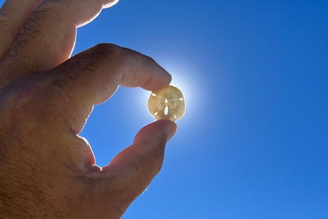 Barrier Island Shelling Tour - What to Bring