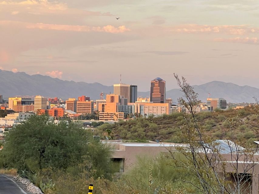 Barrio Viejo Tucson Walking Tour Plus Historic Scott Avenue - What to Bring and Expect