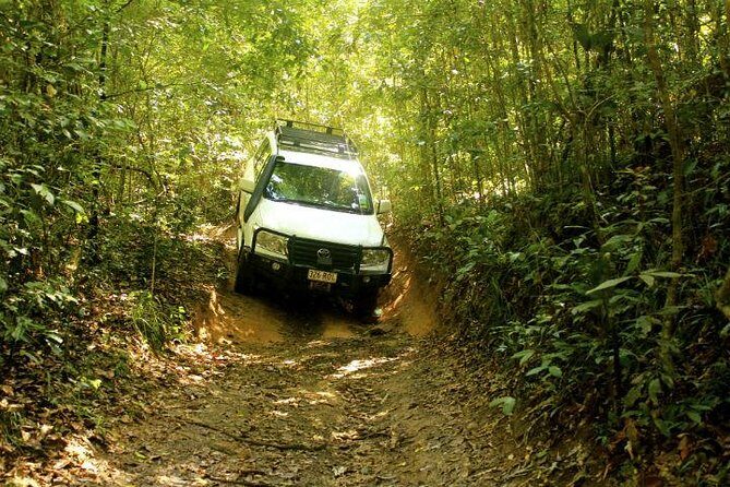 Barron Gorge and Kuranda National Park Half Day Rainforest and Waterfall 4WD Tour from Cairns - Key Points