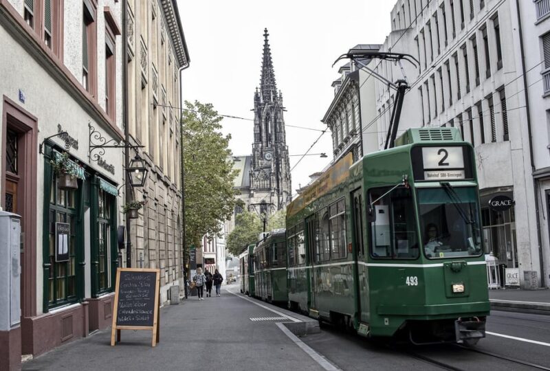 Basel Private Guided City Tour - Inclusions