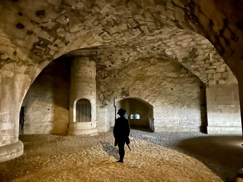Basel: Schaffhausen & the Rhines Largest Falls Private Tour - Key Points