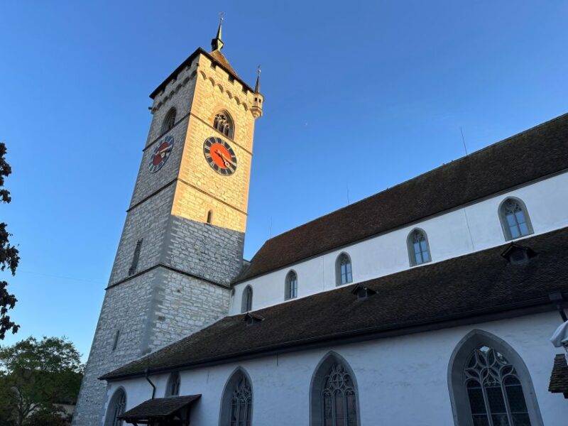 Basel: Schaffhausen & the Rhines Largest Falls Private Tour - Impact of World War II