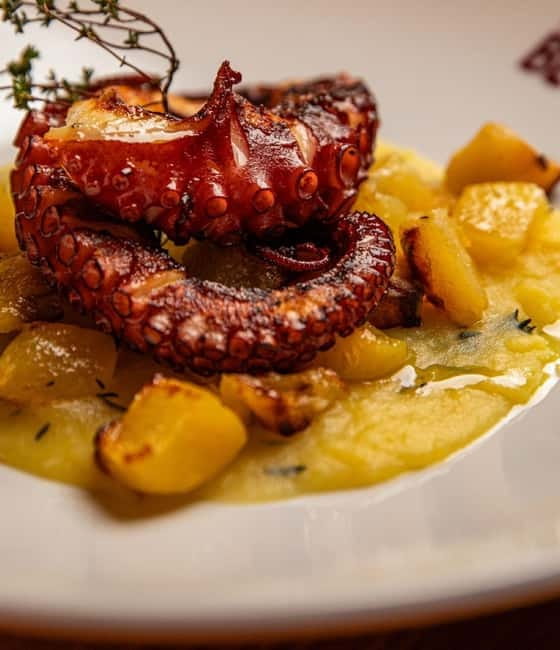 Basic fish tasting menu at the Signora Bettola restaurant - FAQ