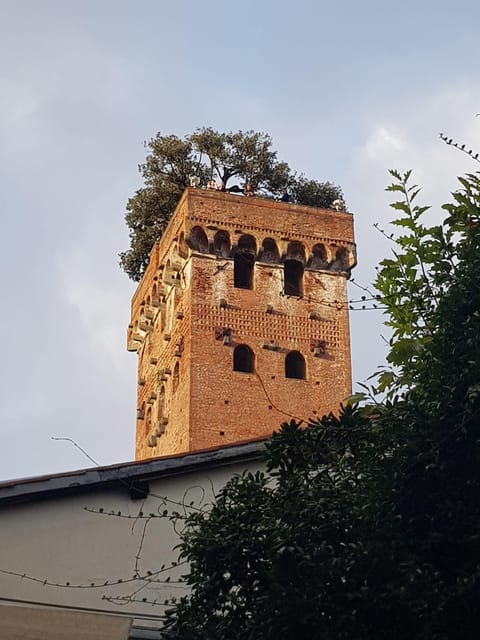 BASIC Lucca: Guided Tour in ITALIAN - Important Information