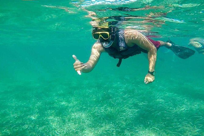 Basic Snorkel Experience In Cancun - Key Points