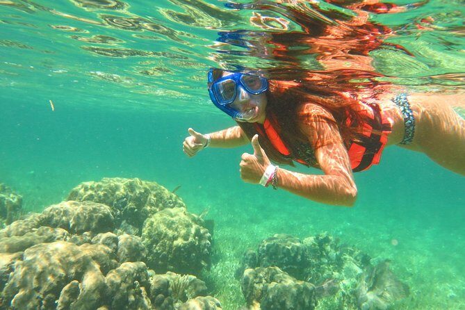 Basic Snorkel Experience In Cancun - A Closer Look at What to Expect