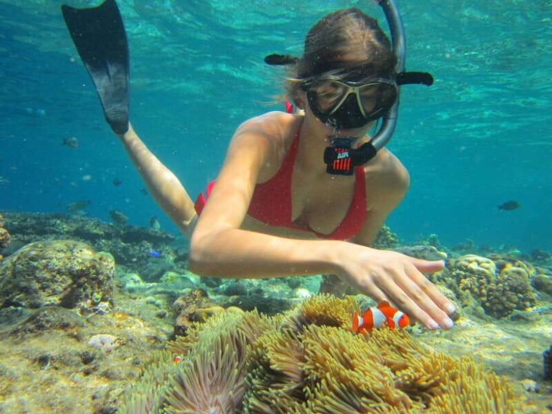Basic Snorkeling Menjangan Island - A Detailed Look at the Experience