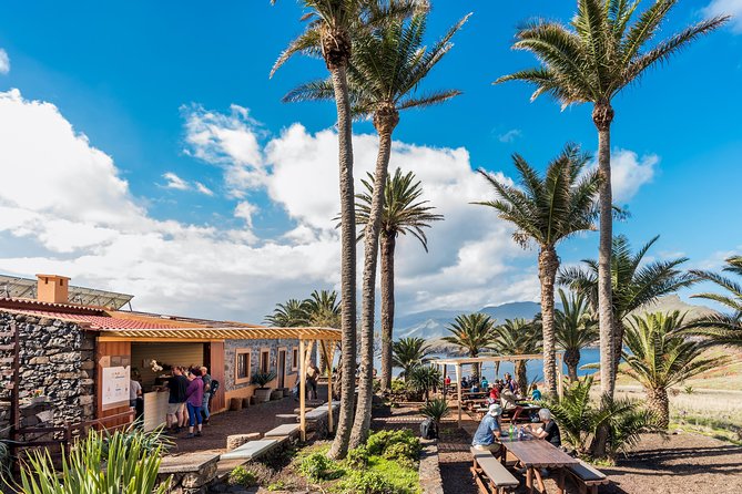 Basic Tour 2 - Quinta Do Lorde to Cais Do Sardinha and Return - Cancellation and Refund Policy