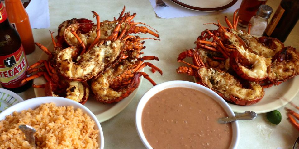 Basic Wine Route: Guadalupe Valley, Baja California - Key Points