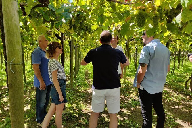 BASQUE CHEESE and TXAKOLI WINE - Private Gastronomic Adventure - Final Thoughts