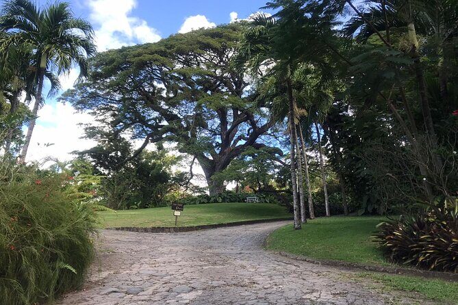 Basseterre Half Day Tour - What Travelers Say