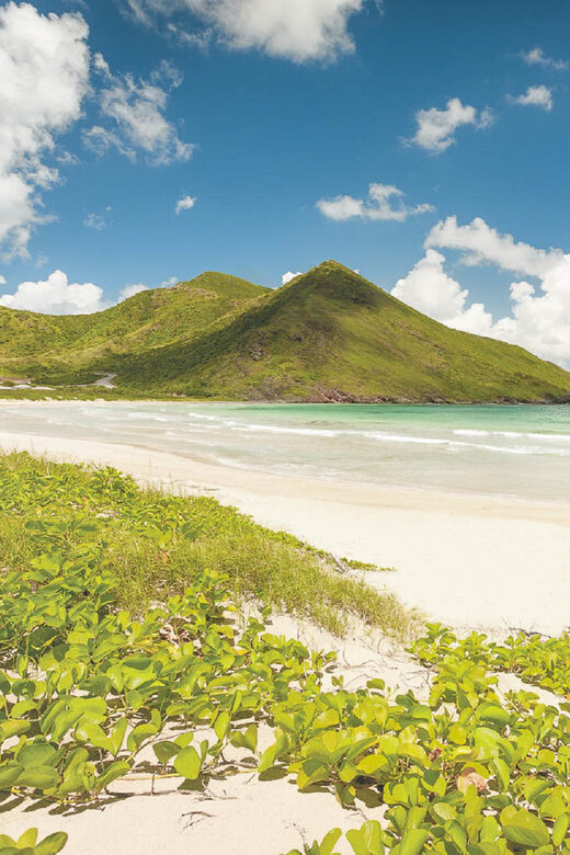 Basseterre: Highlights Capital and Beach Tour - The Sum Up: Why Choose This Tour?